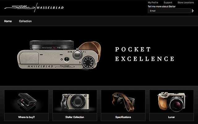 Serious Wood for Hasselblad Stellar tricked-out SonyRX100
