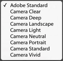 adobe camera raw 8.6