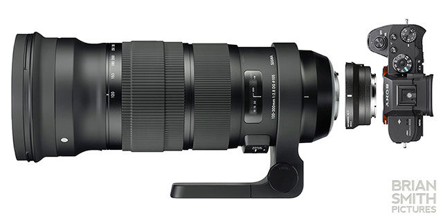 Sigma MC-11 SA-E Lens Mount Converter-Black