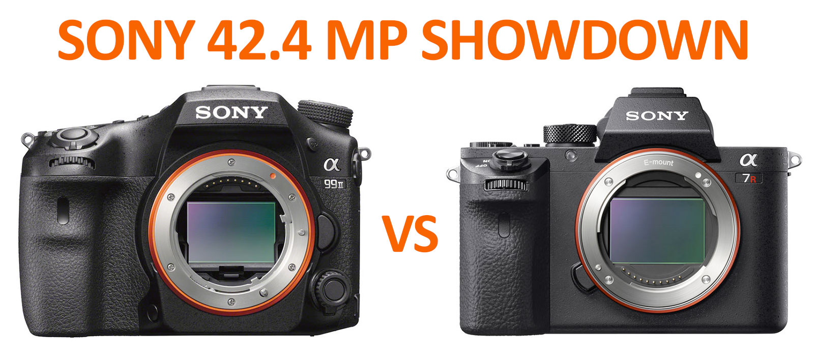 Sony-a99II-vs-a7RII-42-mp-Showdown