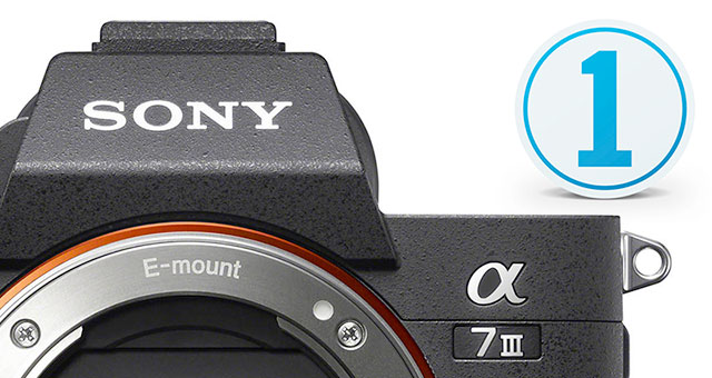 sony-a7-iii-capture-one-raw-support