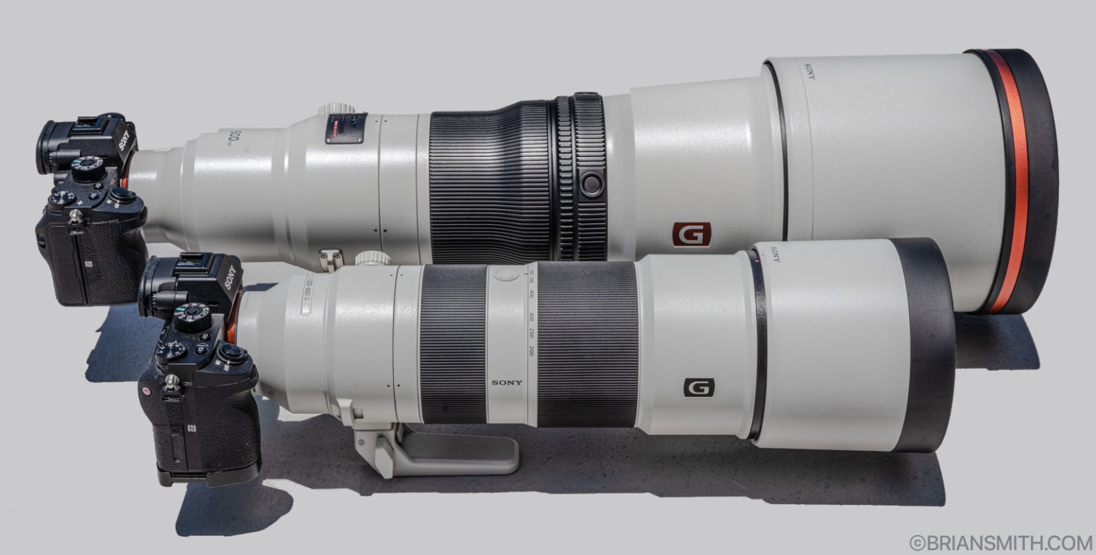 Sony Goes BIG with FE 600mm F4 GM OSS & FE 200-600mm F5.6-6.3 G OSS Lenses