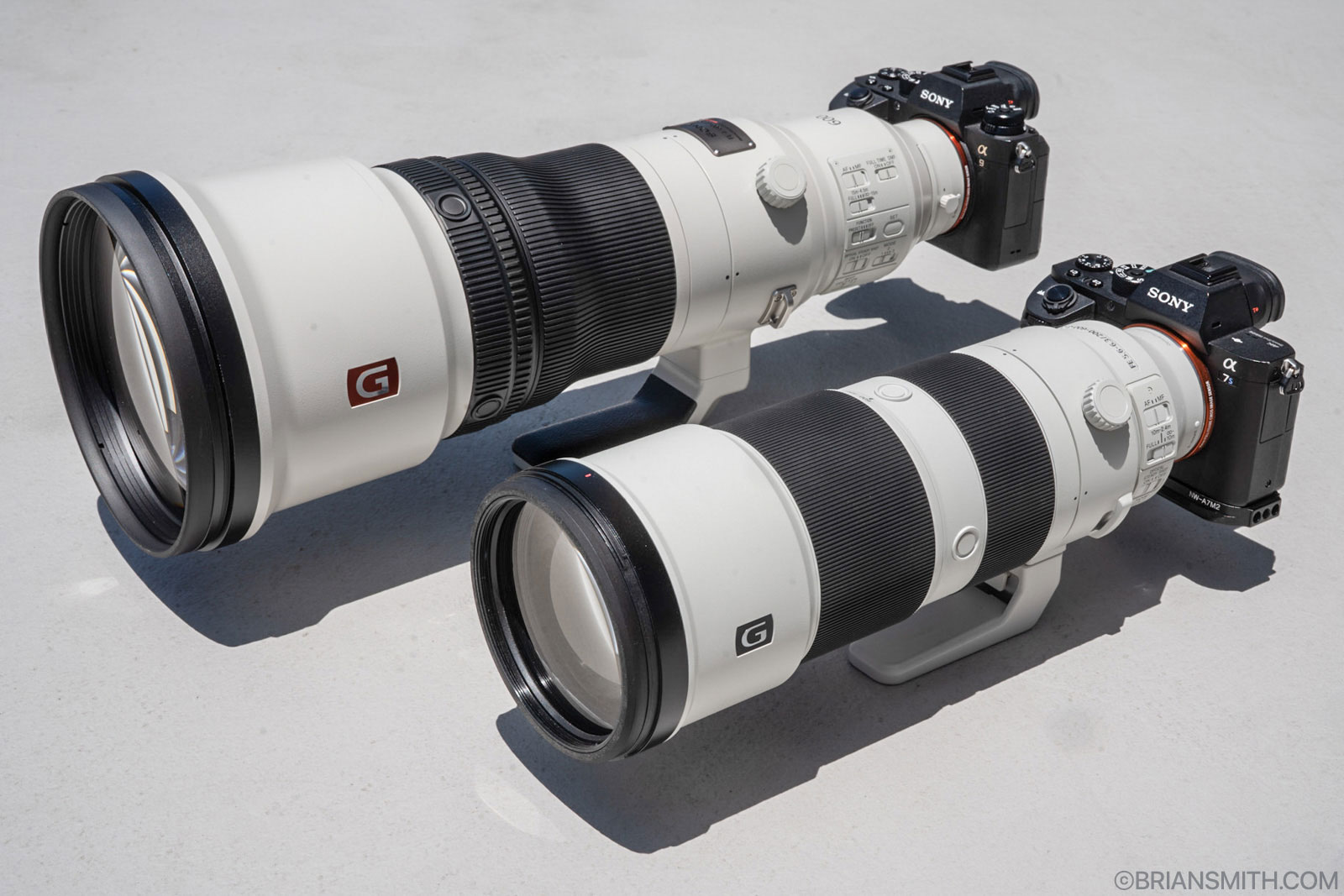 Sony FE 200-600 G & FE 600 GM Available for Pre-Order Now!