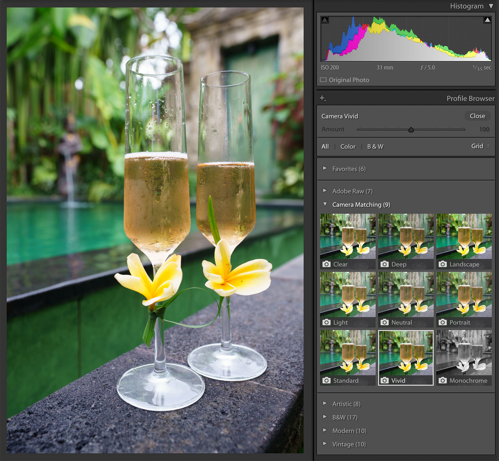 Adobe-Lightroom-Classic-Camera-Matching-Profiles