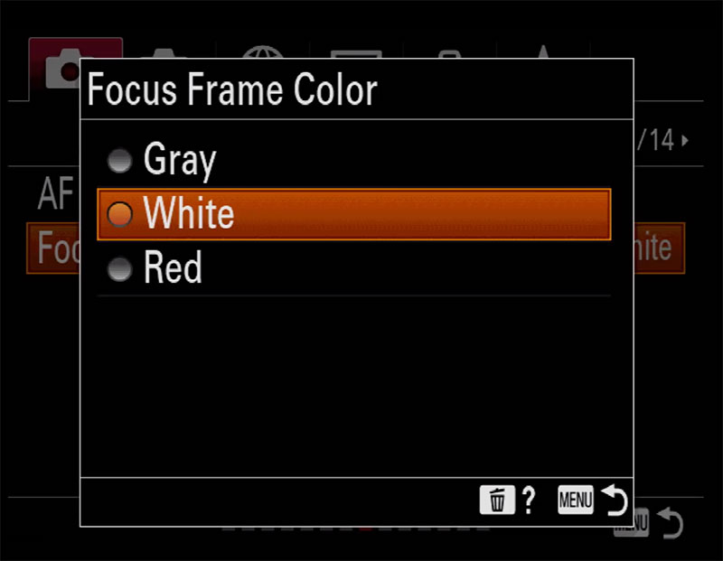 Sony a9 Firmware 6.00 Focus Frame Color Selection